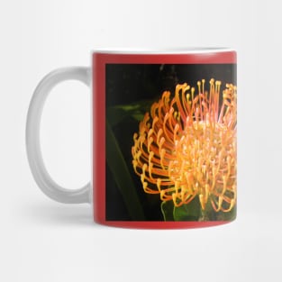 Protea Pincushion Mug